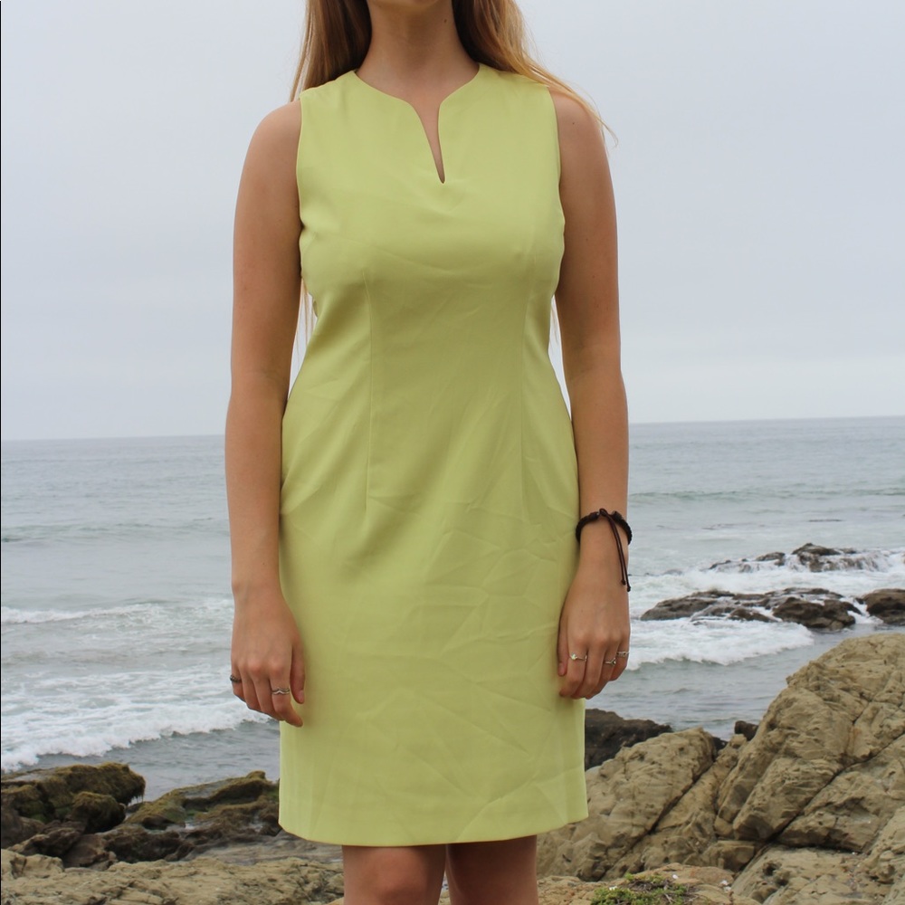Amanda Smith Pastel Lime Professional Dress 👗